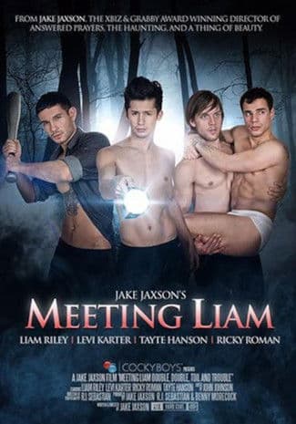 Meeting Liamのポスター