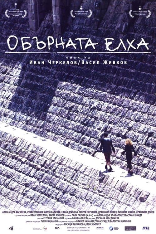 Obarnata elhaのポスター