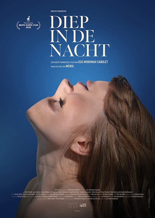 Diep in de Nachtのポスター