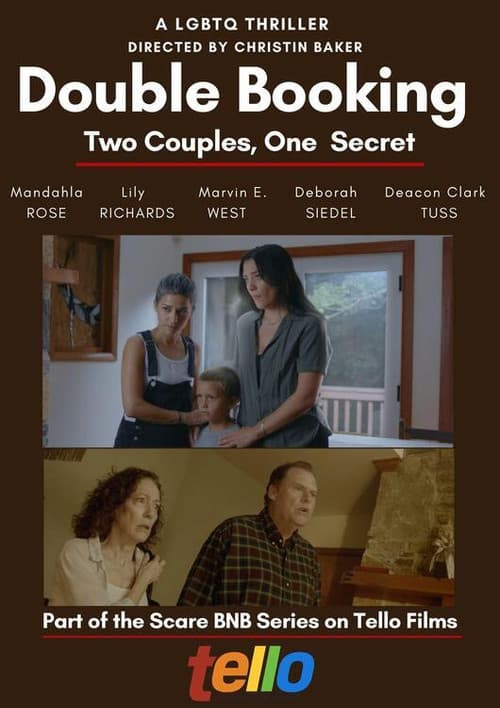 Double Bookingのポスター