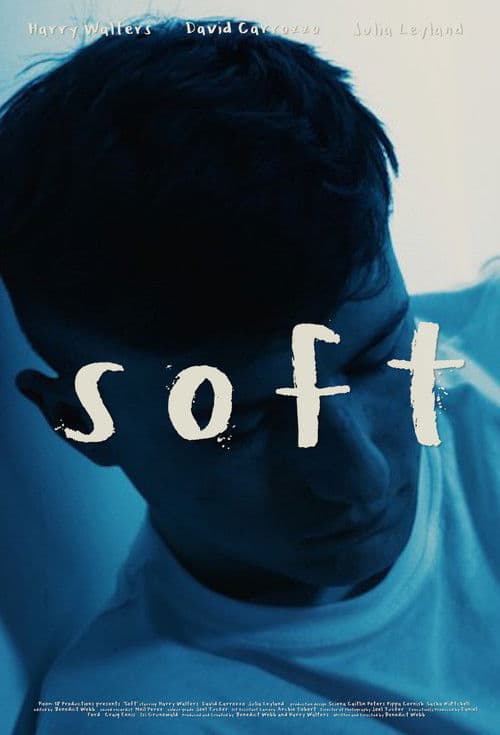 Softのポスター