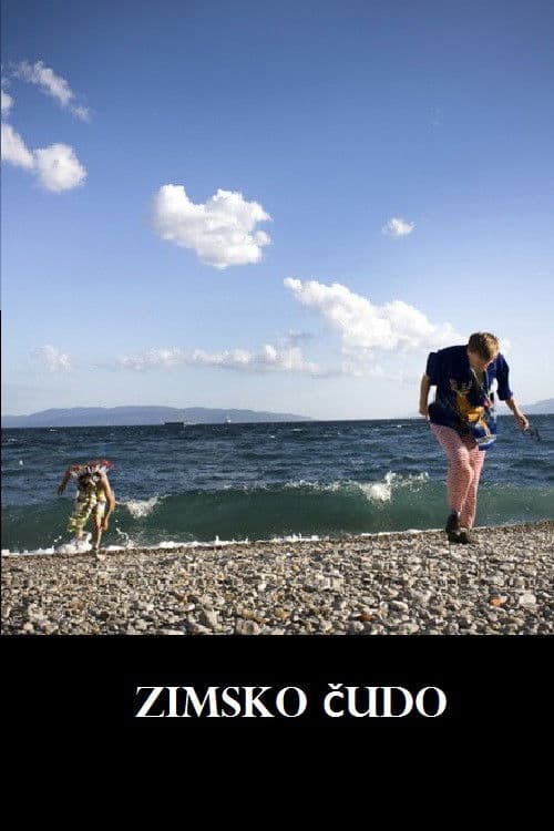 Zimsko čudoのポスター