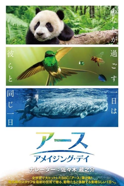 アース：アメイジング・デイのポスター