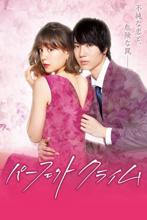 パーフェクトクライムのポスター