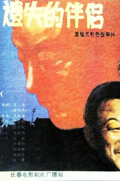 遗失的伴侣のポスター