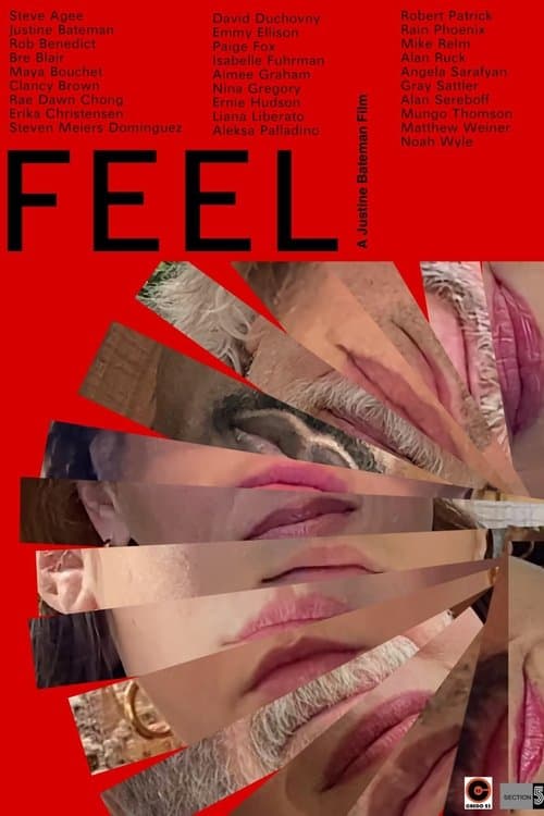 FEELのポスター
