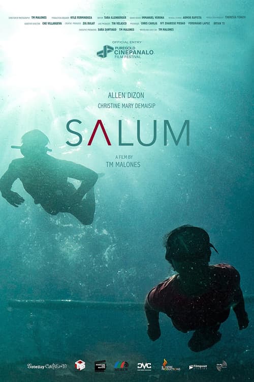 Salumのポスター