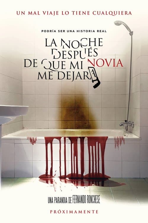 La noche después de que mi novia me dejaraのポスター