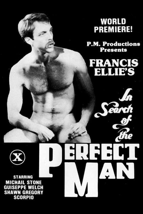 In Search of the Perfect Manのポスター