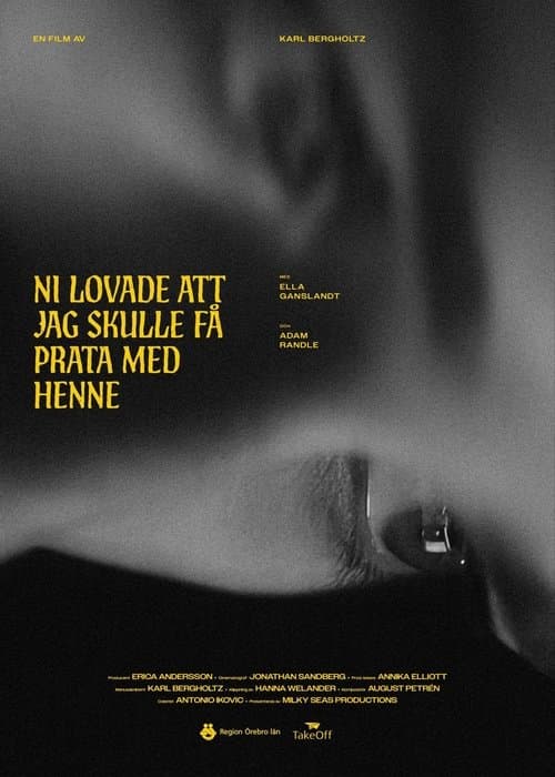 Ni lovade att jag skulle få prata med henneのポスター