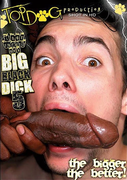 I Got Fucked by a Big Black Dick 5のポスター