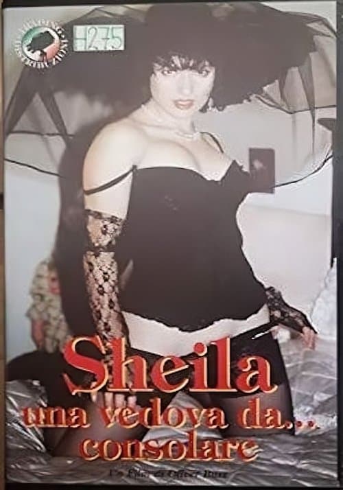 Una vedova da... consolareのポスター