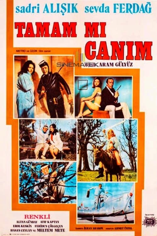 Tamam mı Canımのポスター
