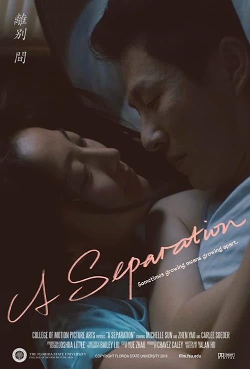 A Separationのポスター
