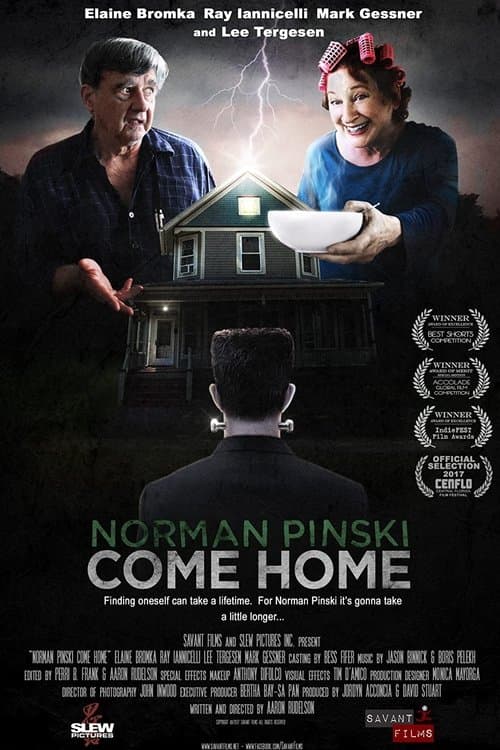 Norman Pinski Come Homeのポスター