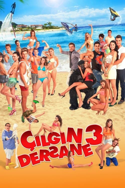 Çılgın Dersane 3のポスター