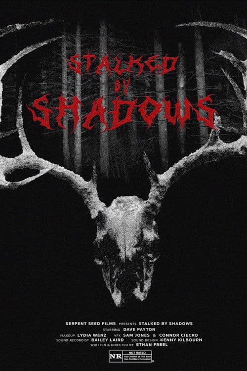 Stalked by Shadowsのポスター