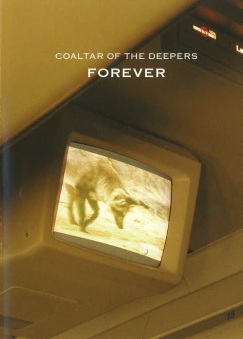 Coaltar Of The Deepers - Foreverのポスター