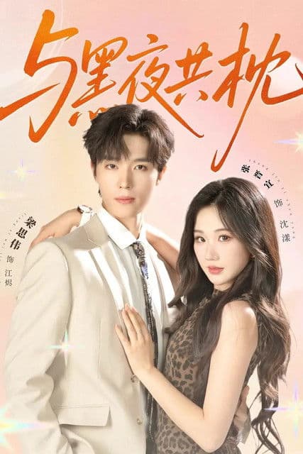 与黑夜共枕のポスター