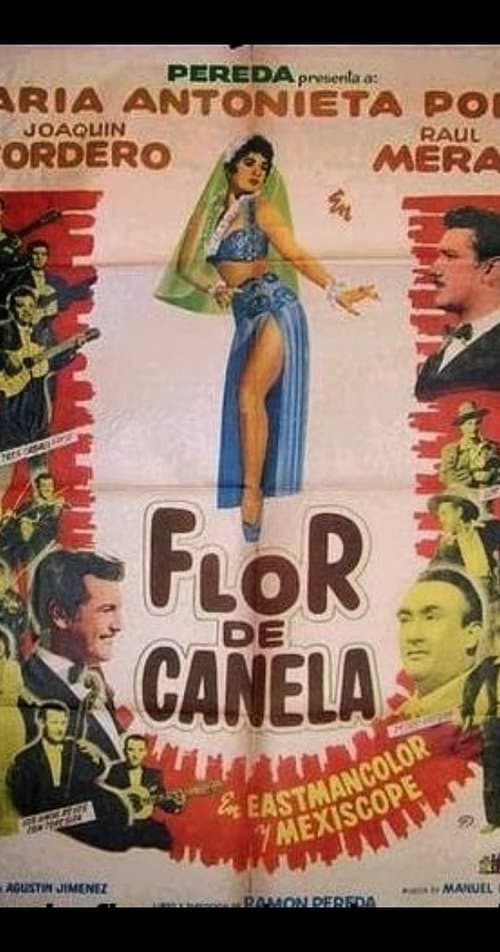 Flor de canelaのポスター