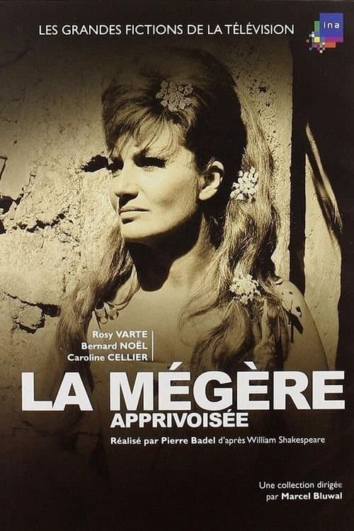 La Mégère apprivoiséeのポスター