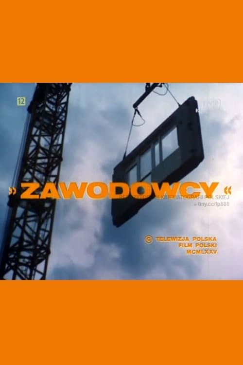 Zawodowcyのポスター