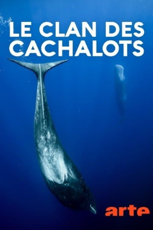 Le clan des cachalotsのポスター