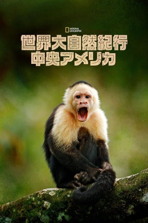 Wild Central Americaのポスター