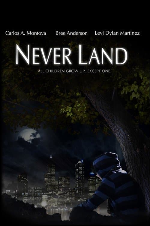 Never Landのポスター