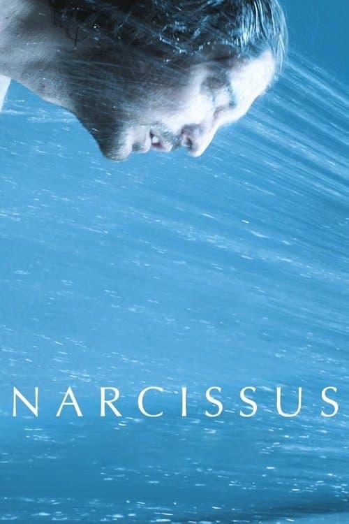 Narcizasのポスター