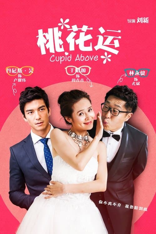 桃花运のポスター