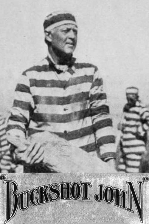 Buckshot Johnのポスター