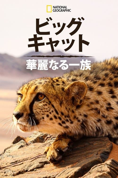 ビッグ・キャット：華麗なる一族のポスター