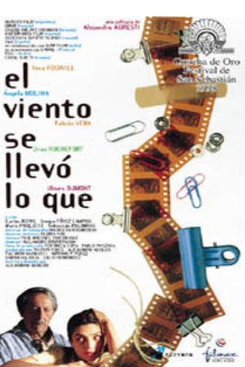 El viento se llevó lo quéのポスター