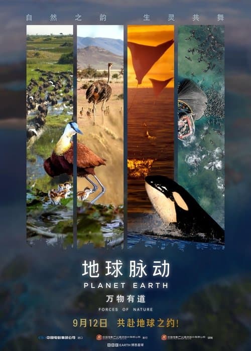 Planet Earth: Forces of Natureのポスター