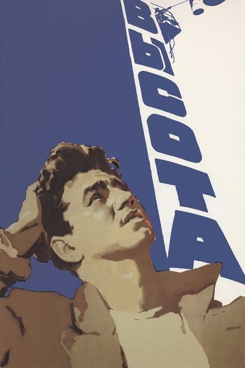 Высотаのポスター