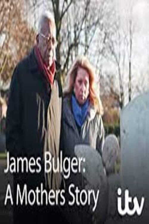 James Bulger: A Mother's Storyのポスター