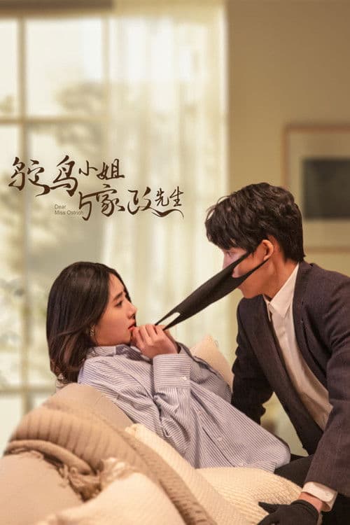 鸵鸟小姐与家政先生のポスター