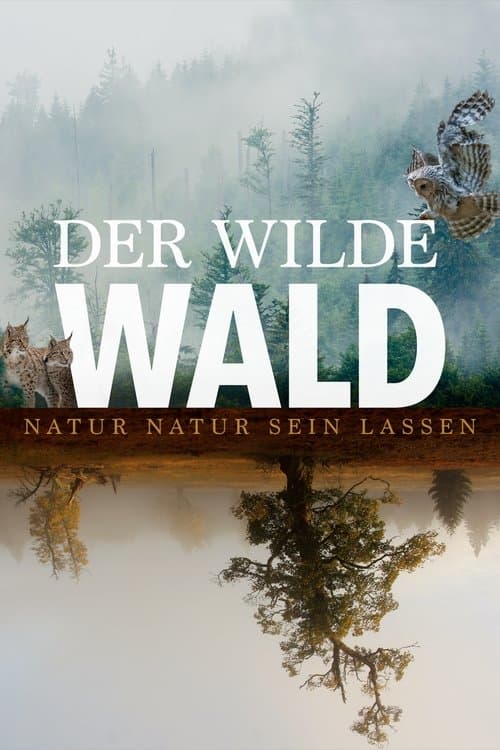 Der wilde Waldのポスター