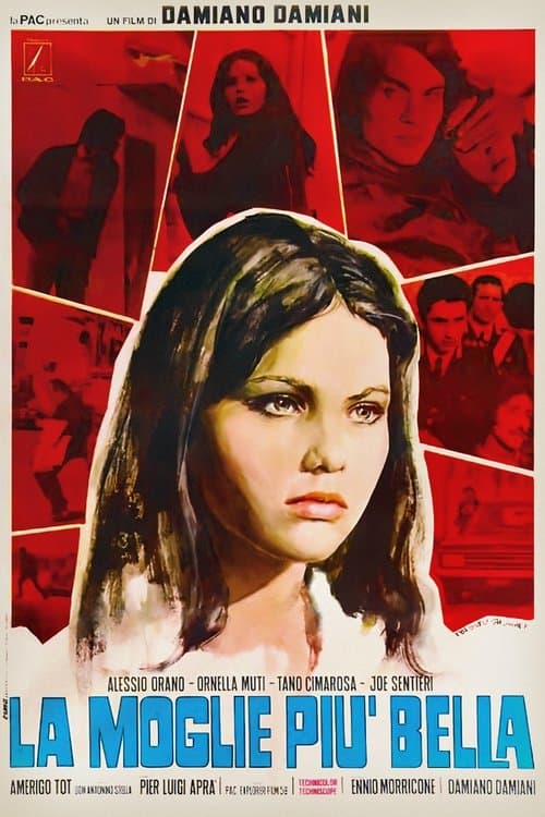 La moglie più bellaのポスター