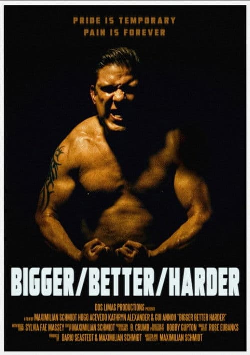 Bigger/Better/Harderのポスター