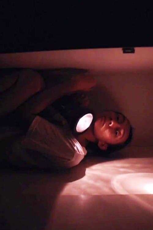 Lemari Kyoのポスター