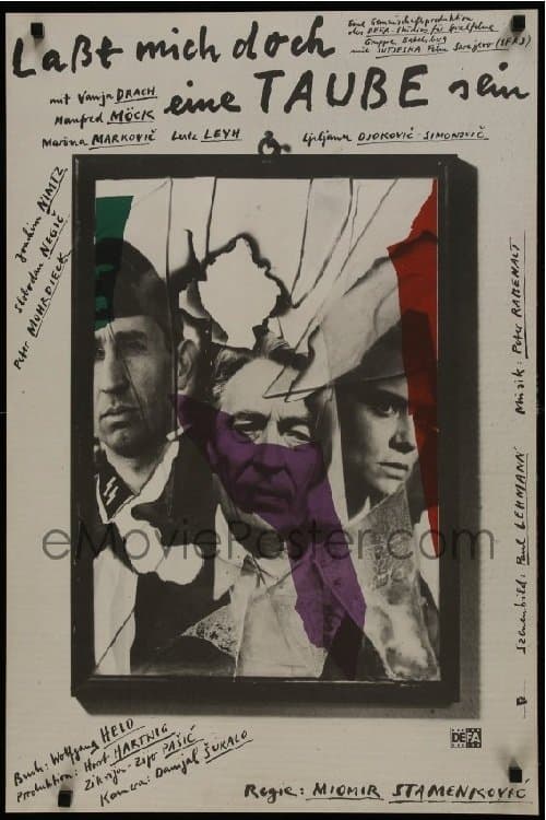 Volio bih da sam golubのポスター