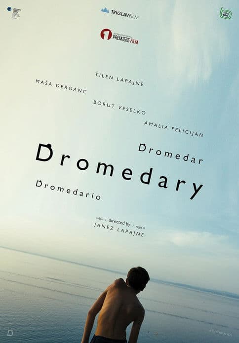 Dromedarのポスター