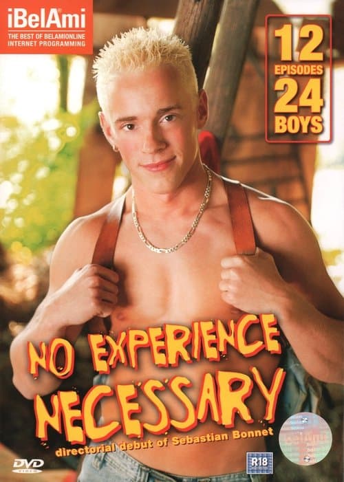 No Experience Necessaryのポスター
