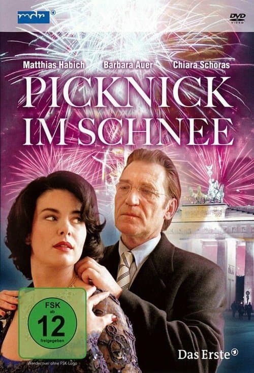 Picknick im Schneeのポスター