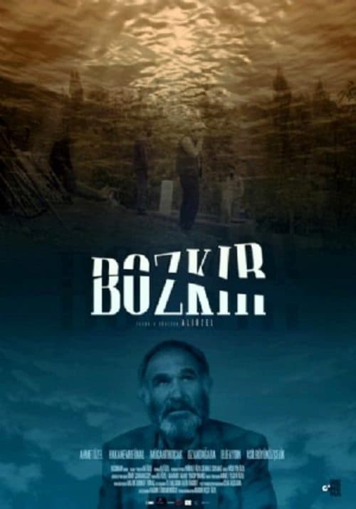 Bozkırのポスター
