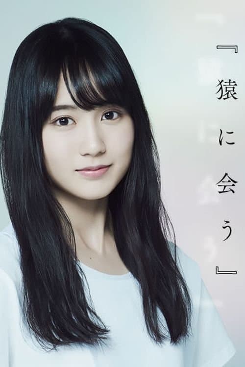 猿に会うのポスター