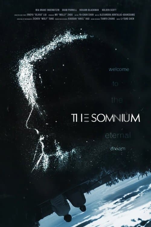 The Somniumのポスター