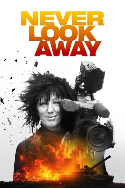 Never Look Awayのポスター